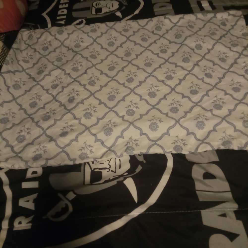 kathy ireland White and Light Blue Floral Lattice Pillowcase A Set